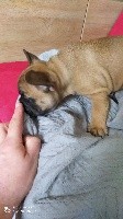 sweet kika